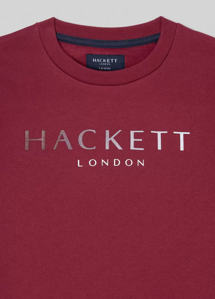 Berry Purple T-Shirts & Sweatshirts Pullover Logo-Druck Herren Hackett London - 2