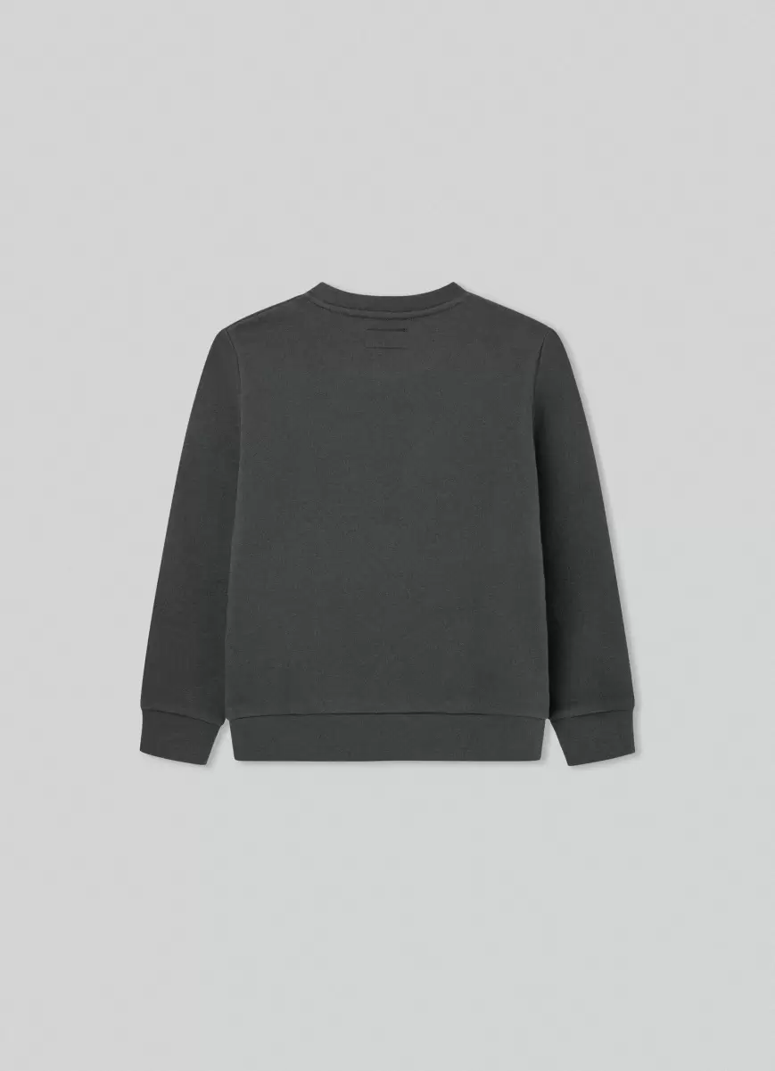 T-Shirts & Sweatshirts Dark Green Herren Pullover Logo-Druck Hackett London - 1